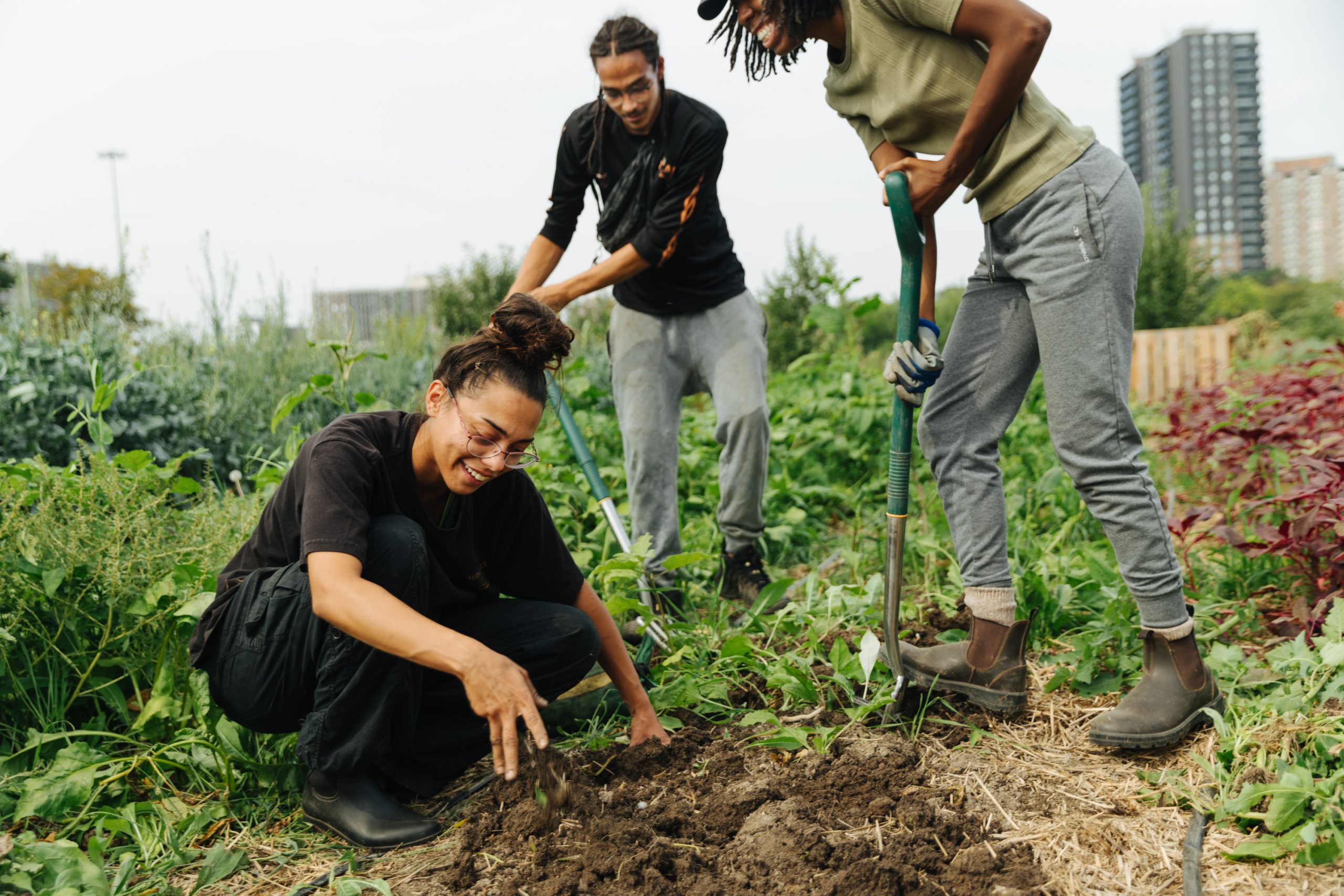 Collage of vintage cars, a dealership sign, and a portrait of Frank Richter, showcasing automotive history.